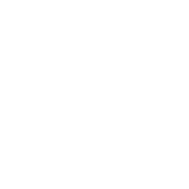 Lightbulb Icon