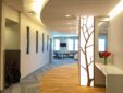 Cove lighting at Portland Gastroenterology